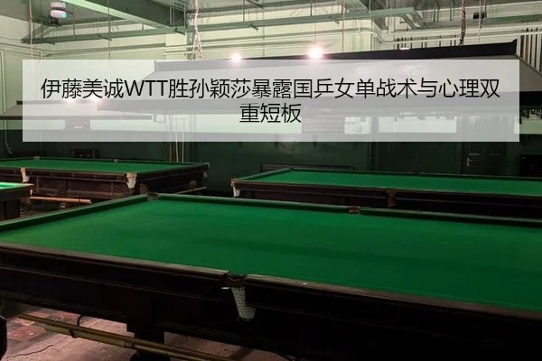 yi-teng-mei-cheng-sheng-sun-ying-sha-bao-lu-guo-ping-nv-dan-zhan-shu-yu-xin-li-shuang-chong-duan-ban-3-453.jpg
