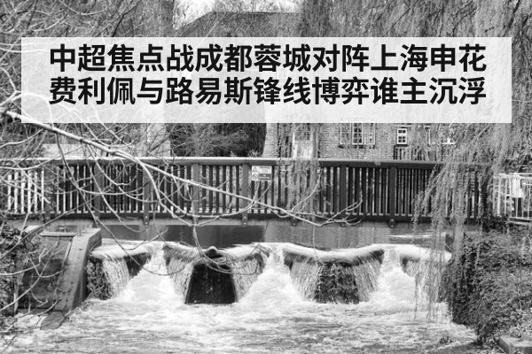 中超焦点战成都蓉城对阵上海申花 费利佩与路易斯锋线博弈谁主沉浮