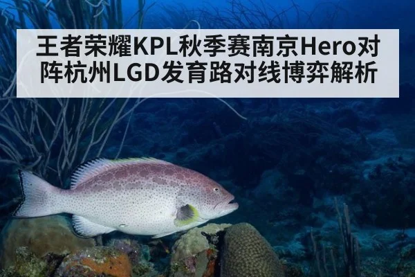 王者荣耀KPL秋季赛南京Hero对阵杭州LGD发育路对线博弈解析